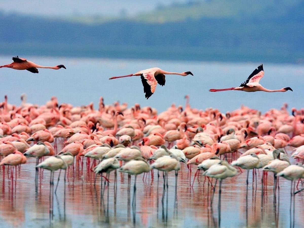 Casa Natura Beach サンタ・ポラ エクステリア 写真